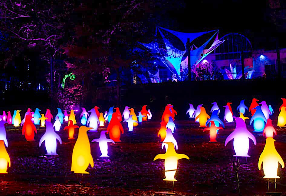 Holiday festival of lights at the PhillyZoo Penguin Field