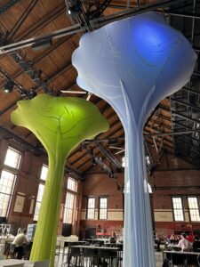 Immersive Installation Fabric sculptures in Boston