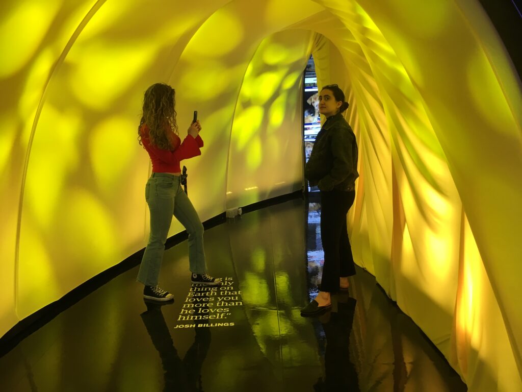 AmEx had a special treatment on our fabric tunnels creating a memorable first impression